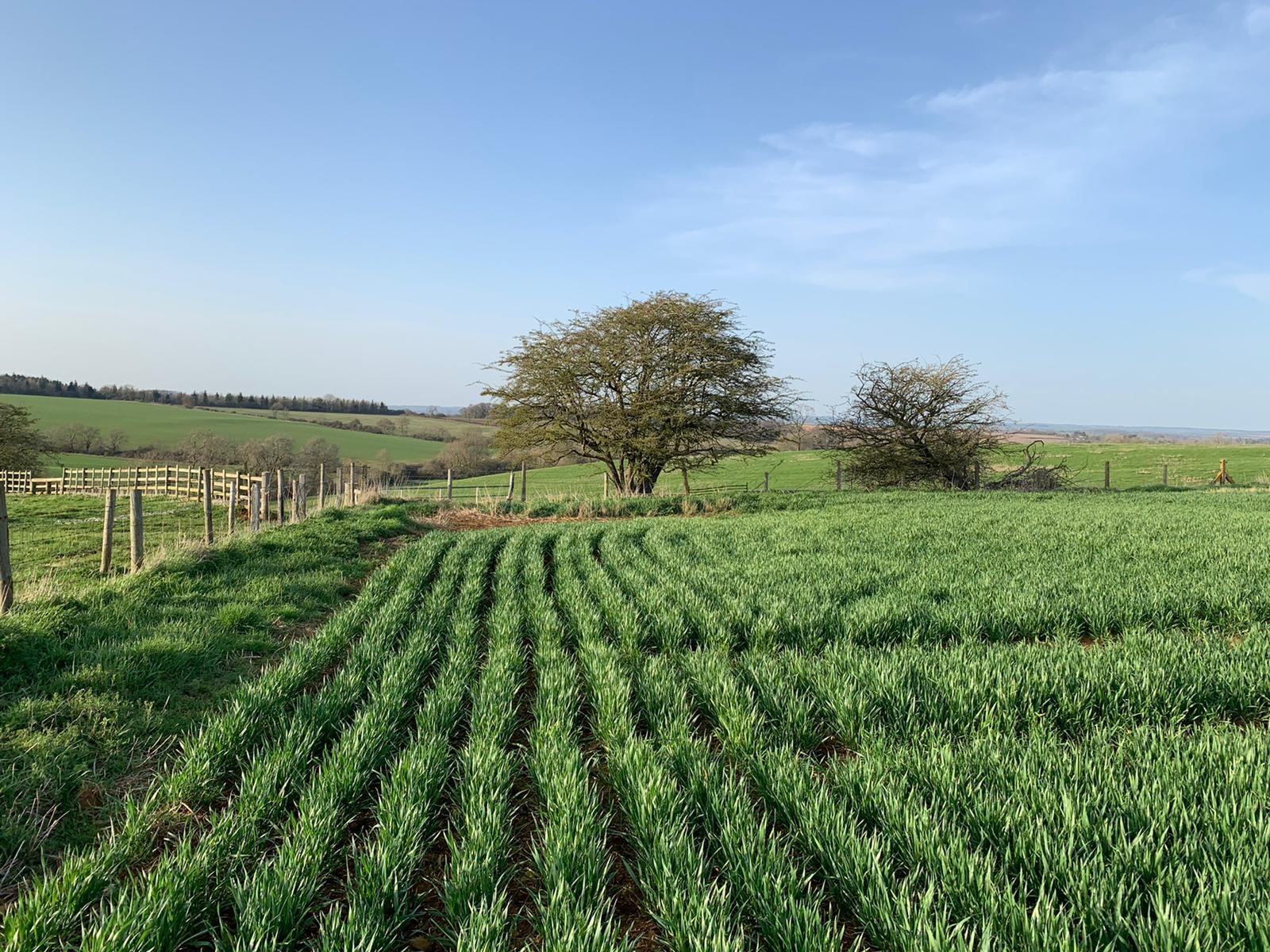 Agri-Environmental Scheme